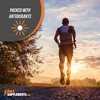 Ginkgo Biloba Extract Capsules - 3 of 4