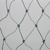 Philips 8'x4' Incandescent Christmas Heavy Duty Net String Light Bulb Color with Green Wire - 3 of 4