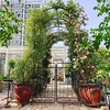 NicBex Metal Raised Garden Bed with Trellis 79.5" X 86.6" Metal Garden Arch Trellis Rust-Proof Garden Tower, Black - 4 of 4