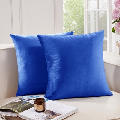 Deconovo Home Velvet Soft Decorative Pillow Covers Invisible Zipper Cushion Cover, 2-Pack