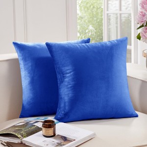 Deconovo Home Velvet Soft Decorative Pillow Covers Invisible Zipper Cushion Cover, 2-Pack - 1 of 4