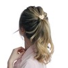 Unique Bargains Women's Heart Shape Ponytail Buckle Hair Clip 1 Pc - 3 of 4