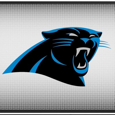 carolina panthers