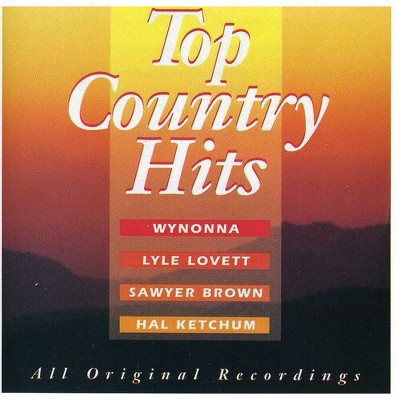 Various Artists - Top Country Hits / Various (CD)