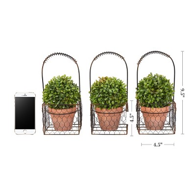 Lifelike Boxwood Trio Topiary in Rustic Terra Cotta-Color Pots