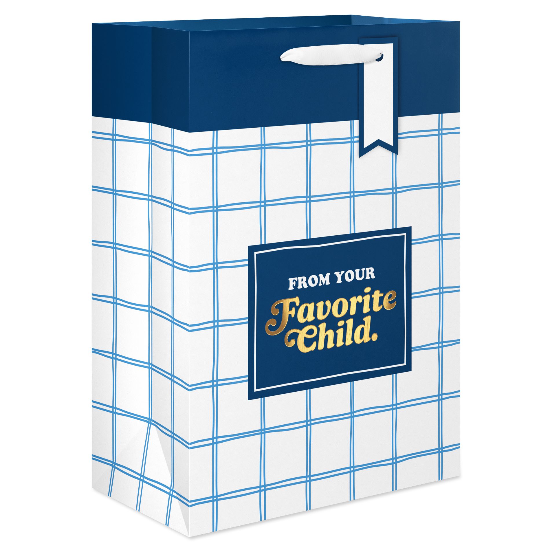 Medium Father's Day Gift Bag, Your Favorite Child 1 Bag 10"x7"