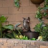 23" Iron Owl Fountain Brown - Alpine Corporation: Electric Sculptural Water Feature for Outdoor Use, 5 Gallon Capacity - 2 of 4