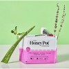 The Honey Pot Company 100% Organic Cotton Cover Cooling Herbal Infusion Regular Pads - 20ct - 4 of 4