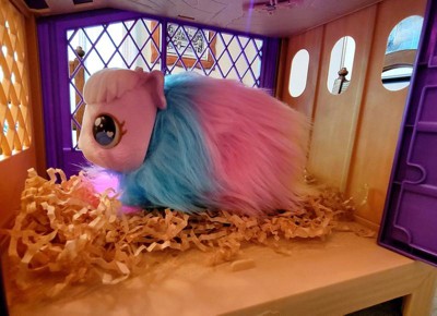 Little Live Pets Mama Surprise Guinea Pigs Rainbow Edition (target Exclusive)  : Target