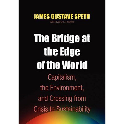 The Bridge at the End of the World - Large Print by  James Gustave Speth (Paperback)