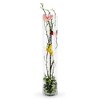 Slickblue Gilded Cylinder Vase - Available in 2 Sizes & 2 Colors for Stylish Decor - image 3 of 4