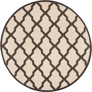 Beach House BHS122 Power Loomed Indoor/Outdoor Rugs - Safavieh - 1 of 3
