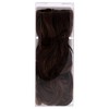 Wavy Extension - R28S Glazed Fire by Hairdo for Women - 23 Inch Hair Extension - 2 of 4