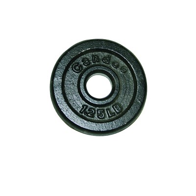 Synergee Cast Iron Weight Plates - 35lb Pair : Target