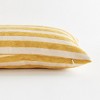 Plum & Post Grant Lumbar Indoor-Outdoor Pillow - 3 of 4