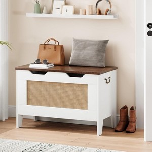 Farmhouse Storage Chest with Safety Hinge - Wide Entryway Bench with U-Shaped Cut-Out, Shoe Storage Trunk for Living Room - 1 of 4