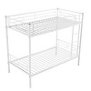 Whisen Metal Bunk Bed with Ladder - 4 of 4