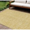 Gold And Ivory Floral Washable Indoor Outdoor Area Rug - 2 of 4