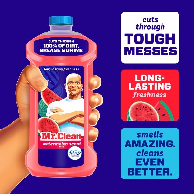 Mr. Clean Watermelon All-Purpose Floor Cleaning Liquid - 41 fl oz