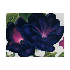 Trademark Fine Art - Georgia O'Keefe Black and Purple Petunias Matted Framed Art - 1 of 4