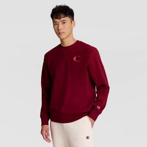 Champion Adult Sizing Embroidered Fleece Crewneck Sweatshirt