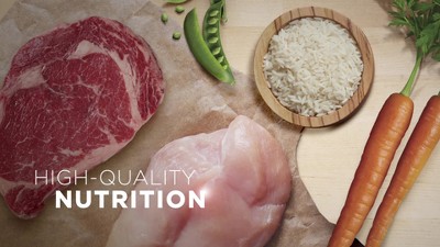 Purina ONE Natural Chicken & Rice Formula Dry Dog Food - 8 lbs