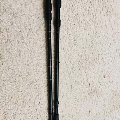 2pk Adjustable Trekking Poles Black - All In Motion™ : Target