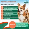 Beloved Pets Herbiotic Natural Herbal Holistic Defense for Dogs and Cats, Urinary Tract, Respiratory, & Intestinal Health 2 oz - 1 pack - 2 of 4