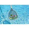Poolmaster Leaf Skimmer Heavy Weight Deluxe Aluminum Swimming Pool Leaf Rake - 2 of 4