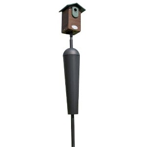 JCS Wildlife Ultimate Bluebird House - Mounting Pole Bundles Available! - 1 of 4