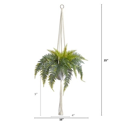 Boho Chic 25" Variegated Fern in Decorative Hanging Planter