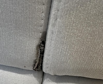 Guest review image 1 of 1, zoom in