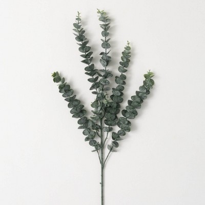 34.5"H Sullivans Towering Tall Eucalyptus, Green