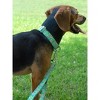 Country Brook Petz Martingale Dog Collar - Critter Corner Collection - 3 of 4