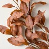 72" Rusted Eucalyptus Artificial Fall Garland - Hearth & Hand™ with Magnolia - 3 of 3
