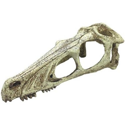 Multipet Komodo Raptor Skull - Extra Large Size