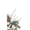 Gallerie II Shimmer Coastal Star Ornament - 3 of 4