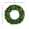 Plum & Post Boxwood Wreath 12" - 2 of 2