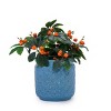 SEVOBAL Planters 3-Piece Modern Ceramic Glossy Flower Pots, Frost-Resistant with Drainage Holes for Indoor, Outdoor, Blue, 19.7"*19.7"*20.5" - 2 of 4