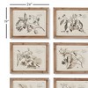 Plum & Post Fruit Bearing Branch Illustrations Set of 6 - 2 of 2