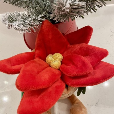 Guest review image 1 of 3, zoom in