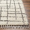 Hauteloom Hodor Plush Rug with Tassels - 2 of 4