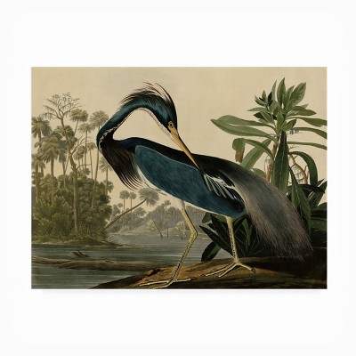 Louisiana Heron All-Weather Outdoor Canvas Wall Art