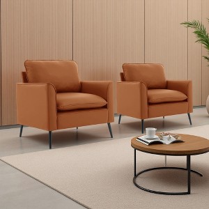 Cat Paw Leather 2-Piece Retro Armchair Set with Pillows - 1 of 4