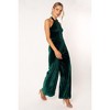 Petal and Pup Womens Aria Velvet Jumpsuit - 2 of 4