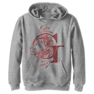 Boy's Harry Potter Gryffindor G Logo Pull Over Hoodie - 1 of 4