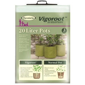 Tierra Garden Vigoroot Pots 3pk - 1 of 4