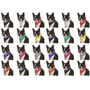 24 Pack Cotton Paisley Dog Bandanas Bulk Set for Groomers Shelters or Parties - 1 of 4