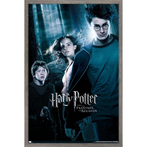 Trends International Harry Potter And The Prisoner Of Azkaban - Forest One  Sheet Framed Wall Poster Prints Barnwood Framed Version 14.725 X 22.375 :  Target