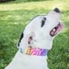 Country Brook Petz HossFit Jr Wide Martingale Dog Collar - Animal Print Collection - 3 of 4